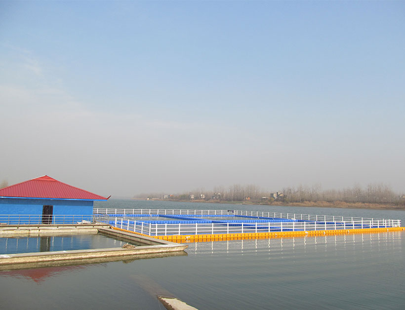 安庆网箱养殖